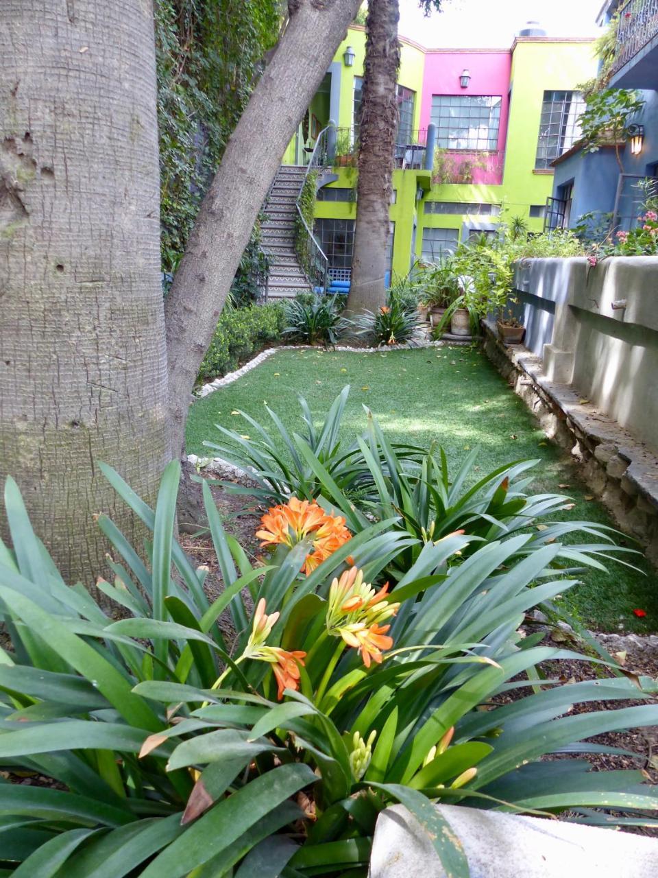 Casa Carly Hotel San Miguel de Allende Luaran gambar